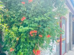 -小陆莲花蟹园农家乐(莲花岛店)