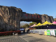 -合肥野生动物园