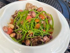 凉拌水性杨花-熙楼(翠湖店)