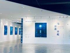 -辰熙ACX星海艺术中心