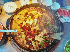 -老板恋上鱼(恒隆广场店)