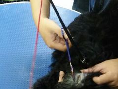 android_upload_pic-爱宠屋pet shop·宠物洗澡·宠物美容
