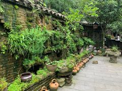 -青城甲(青城山店)