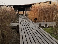 -中国湿地博物馆