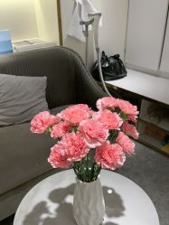 -MIDA蜜哒•科技逆龄美肤连锁