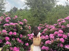 -名花谷生态庄园