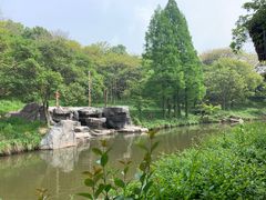 -宁波野生动物园