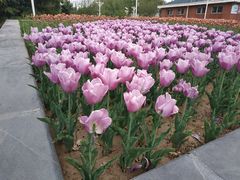 -石家庄市植物园