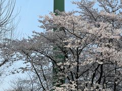 -荒岛实景沉浸密室(江汉路1店)
