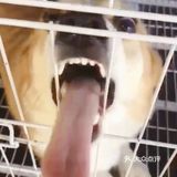 一直在狗刨，出來不到，哈哈哈哈哈哈哈哈哈！