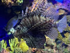 -上海海洋水族馆