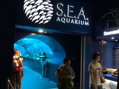 -新加坡海洋生态馆