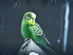 -海合安武汉极地海洋公园