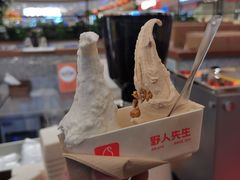 -野人先生Gelato(上海长宁龙之梦店)