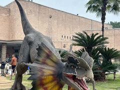 -自贡恐龙博物馆