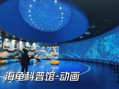 -广东惠东海龟国家级自然保护区
