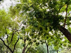 -元大都城垣遗址公园