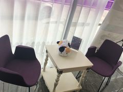 -宠爱国际动物医院· 猫科· 外科·中兽医(长白店)