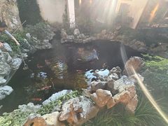 -鲤院·新中式美学·庭院餐厅(夫子庙店)
