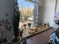 -上海先进东风标致雪铁龙4S店(青浦店)