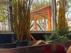 -花园茶楼(兴城西路店)