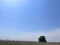 -宁波杭州湾国家湿地公园