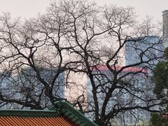 -宝通禅寺