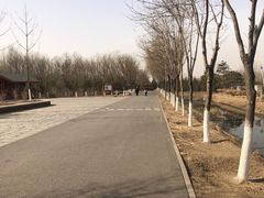 -东郊湿地公园