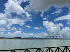-金悦轩海鲜城(渔人码头店)