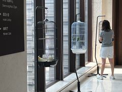 -上海崇明金茂凯悦酒店