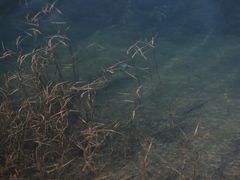 -无锡新湖铂尔曼大酒店