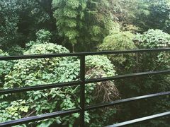 -天目湖涵田半山温泉