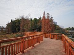 -广东花都湖国家湿地公园