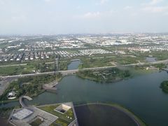 -嘉定凯悦·咖啡厅