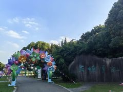 -荷塘月色湿地公园·向阳花洲