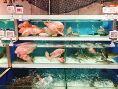 -盒马鲜生(首义店)