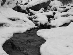 -迪卡侬(南二环店)