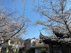 -巡塘古镇