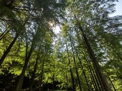 -重庆彩云湖湿地公园