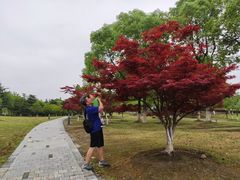 -白塘生态植物园