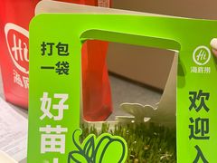 -海底捞火锅(河东万达广场店)