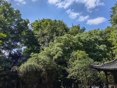 -赭山公园