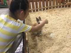 -上海大自然野生昆虫馆(东方明珠·爬宠昆虫探索中心)
