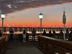 -宝安西湾红树林湿地公园