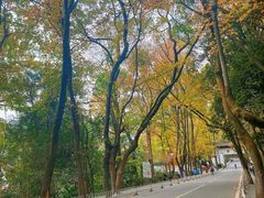 -岳麓山风景名胜区
