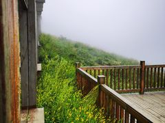 -白草畔自然风景区