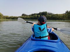-WhaleSports户外水上运动俱乐部(朝阳公园店)