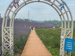 -紫颐香薰山谷景区