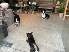 -自由生长植物工作室(深港花卉中心店)