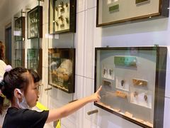 -上海昆虫博物馆